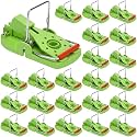 Qualirey 24 Pcs Mouse Traps Bulk Plastic Snap Rat Trap Reusable, Fast Kill