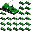 Qualirey 24 Pcs Mouse Traps Bulk Plastic Snap Rat Trap Reusable, Fast Kill