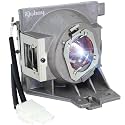 A+ Quality 5J.JGT05.001/RLC-118 for BENQ MH733 TH671ST Replacement Projector Lamp Bulb with Housing