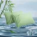 Queen Pillowcases, Cooling Viscose from Bamboo Pillow Covers with Envelope Closure, Soft Moisture-Wicking for Hot Sleepers, Hair and Skin-Friendly, Green, 2 Pack
