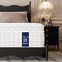 Queen Size Mattress 12 Inch Medium Firm Hybrid Mattress in a Box