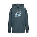Quiksilver Kids Heavy Vibes Hoodie (big Kid)