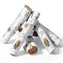 QuliMetal 6PCS Ceramic White Birch Gas Fireplace Logs, 16-Inch