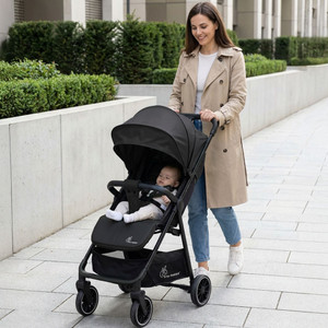 R for Rabbit Poppins Neo Stroller