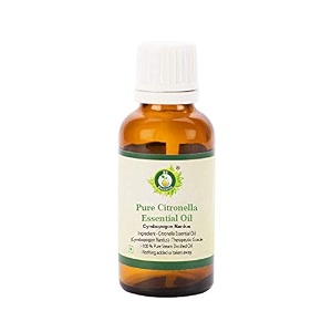 r v essential pure citronella essential oil 10ml- cymbopogon nardus 100 pure and natural steam distilled for skin face hair body nails scalp massage aromatherapy diffuser soap candle perfume making