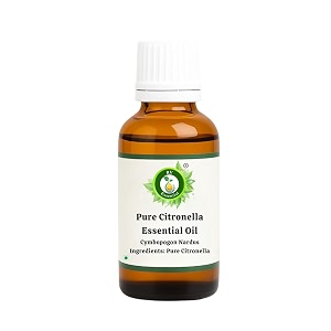r v essential pure citronella essential oil 15ml- cymbopogon nardus 100 pure and natural steam distilled for skin face hair body nails scalp massage aromatherapy diffuser soap candle perfume making