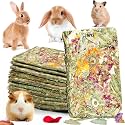 Rabbit Chew Toys 24pcs Timothy Hay Treats Bunny Herbal Flower Snack