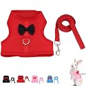 Rabbit Harness and Leash Set for Walking Escape Proof,Red M Chest:9.4-11.8"