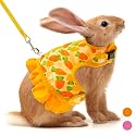 Bunny Harness and Leash Set, Escape Proof Carrot Mesh Rabbit Vest