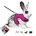 Rabbit Harness Leash Set Escape Proof Bunny Leash Vest Harness,Hot Pink XL