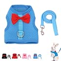 Rabbit Leash and Harness Set for Walking Escape Proof, Blue L