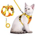 rabbitgoo Cat Harness and Leash Set, Escape Proof, Orange &amp; Yellow