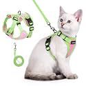 rabbitgoo Cat Harness and Leash Set, Escape Proof, Pink &amp; Light Green
