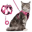 rabbitgoo Cat Harness and Leash Set, Escape Proof, Black &amp; Rose Pink