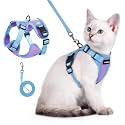 rabbitgoo Cat Harness and Leash Set, Escape Proof, Purple &amp; Blue