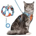 rabbitgoo Cat Harness and Leash Set, Escape Proof, Orange &amp; Light Blue