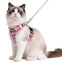 rabbitgoo Cat Harness and Leash Set, Escape Proof Vest, Melon Munch