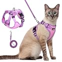 rabbitgoo Cat Harness and Leash Set, Escape Proof, Pink &amp; Purple