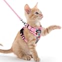 rabbitgoo Cat Harness and Leash Set, Escape Proof Vest, Melon Munch