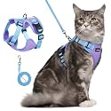 rabbitgoo Cat Harness and Leash Set, Escape Proof, Purple &amp; Blue