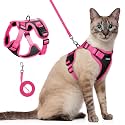 rabbitgoo Cat Harness and Leash Set, Escape Proof, Black &amp; Rose Pink