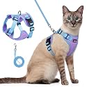 rabbitgoo Cat Harness and Leash Set, Escape Proof, Purple &amp; Blue