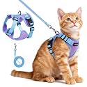 rabbitgoo Cat Harness and Leash Set, Escape Proof, Purple &amp; Blue