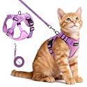 rabbitgoo Cat Harness and Leash Set, Escape Proof, Pink &amp; Purple