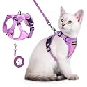 rabbitgoo Cat Harness and Leash Set, Escape Proof, Pink &amp; Purple