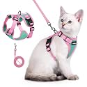 rabbitgoo Cat Harness and Leash Set, Escape Proof, Green &amp; Pink