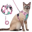 rabbitgoo Cat Harness and Leash Set, Escape Proof, Green &amp; Pink