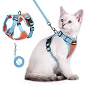 rabbitgoo Cat Harness and Leash Set, Escape Proof, Orange &amp; Light Blue