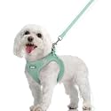rabbitgoo Dog Harness Medium Sized and Leash Set, Step-in Puppy Pet Vest