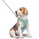 rabbitgoo Dog Harness Medium Sized and Leash Set, Step-in Puppy Pet Vest