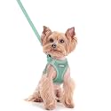 rabbitgoo Dog Harness Small Sized and Leash Set, Step-in Puppy Pet Vest