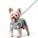 rabbitgoo Dog Harness Small Sized and Leash Set, Step-in Puppy Pet Vest
