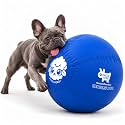 Race&amp;Herd 18" Original Herding Ball — Cover, Inner Ball &amp; Pump (Ocean)