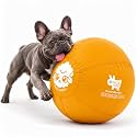 Race&amp;Herd 18" Original Herding Ball — Cover, Inner Ball &amp; Pump (Gold)