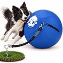 Race&Herd 22" Dog Tetherball — Herding Ball with Ground Stake (Ocean)