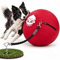 Race&amp;Herd 22" Dog Tetherball — Herding Ball with Ground Stake (Cherry)