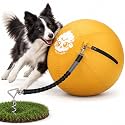 Race&Herd 22" Dog Tetherball — Herding Ball with Ground Stake (Gold)