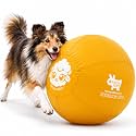 Race&amp;Herd 22" Original Herding Ball — Cover, Inner Ball &amp; Pump (Gold)