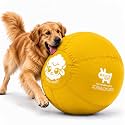 Race&amp;Herd 30" Original Herding Ball — Cover, Inner Ball &amp; Pump (Gold)