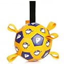 Race&amp;Herd 6" Jolly Soccer Ball for Dogs - Tough Durable Dog Ball Toy with Straps, Pet Bouncy Herding Balls for Dogs, Floating Dog Balls with Tags for Water Fetch, BaaBaaBall (Gold)