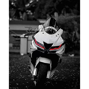 race copz water proof neon led flexible strip light for motorcycle red2 pcs - 30cm