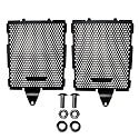 Radiator Guard Fit for BMW R1300GS/R1300 GS ADV Adventure 2023-2024-2025 - CNC Aluminum Grille Protector