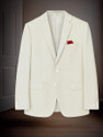 RaeenMensWear Solid Single Breasted Festive Wedding