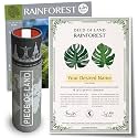 Rainforest Premium Gifts | Real Piece of Rainforest in Peru | Highly Unique Gift idea | Personalised Certificate | for Women, Men, Birthday, Anniversary, Wedding