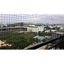 RAISCO Black 8x12 Anti Bird Nets (Black)