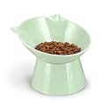 Raised Cat Bowls, 6.3" Extra Wide Shallow Elevated Cat Bowl Detachable, 15° Tilted Whisker Friendly Cat Feeding Bowl, 16oz Capacity, Anti-Vomiting, Neck Protection, Food&amp;Water for Cats, Mint Green